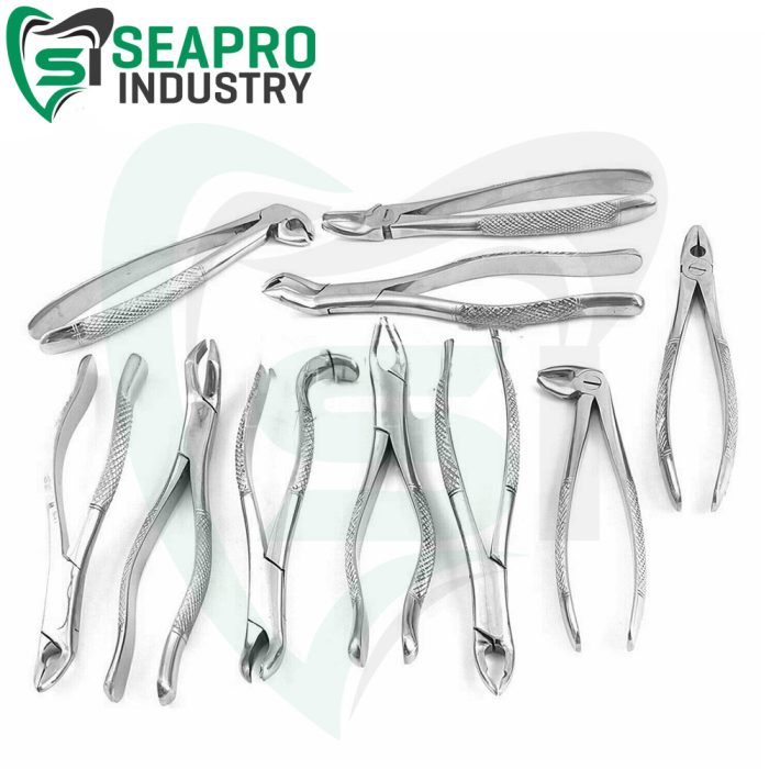 10 Pcs Of Dental Extraction Forceps Surgical Instruments – Seapro Industry